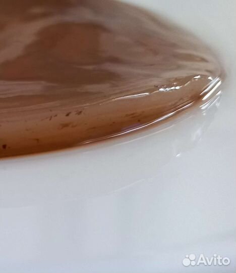 Чайный гриб