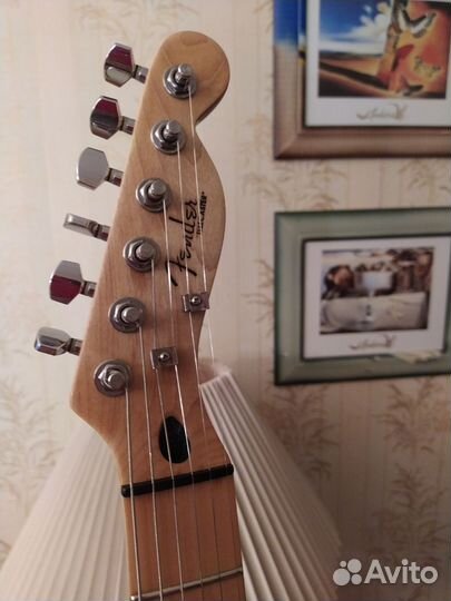 Burncuster twin br.Lebdewe USA