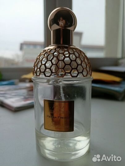 Guerlain aqua allegoria herba fresca