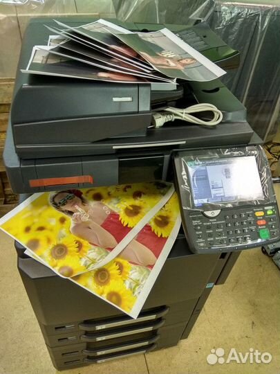 Мфу kyocera taskalfa 2552CI