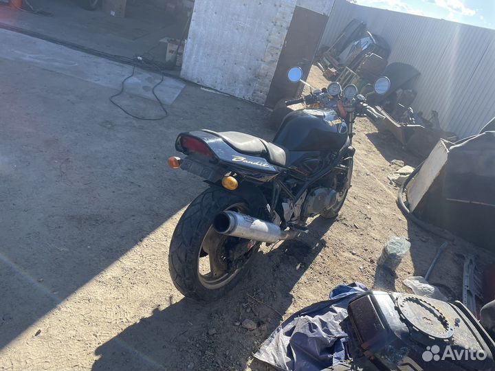 Suzuki bandit