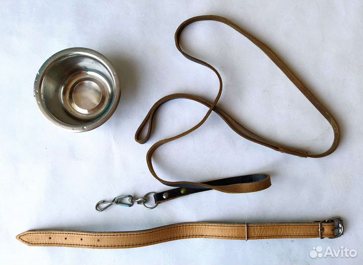 Поводок ошейник и миска для собаки