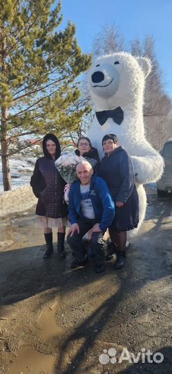 Поздравление от Зайки Ляли и Белого медведя Умки