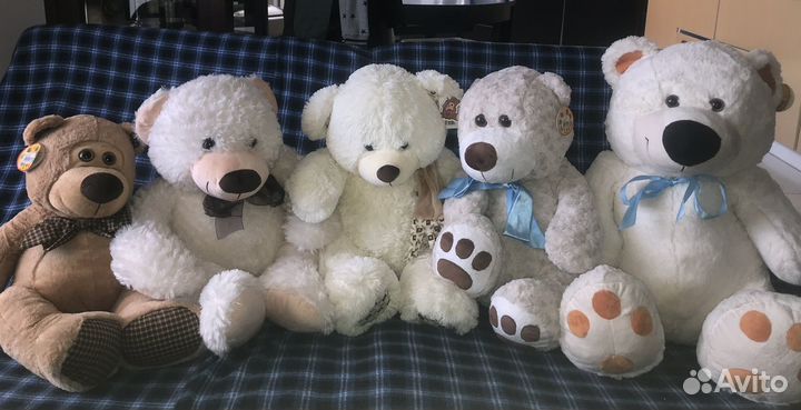 Плюшевый медведь