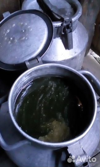 Мед.Лесная Пасека.Алтай.Опт.Пчелы