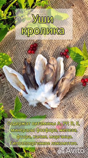 Лакомства для животных