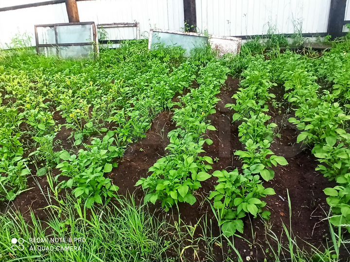 Дом 40 м² на участке 15 сот.