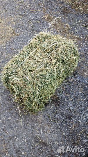 Сено Солома