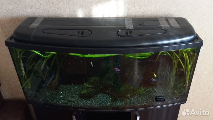 Аквариум с тумбой