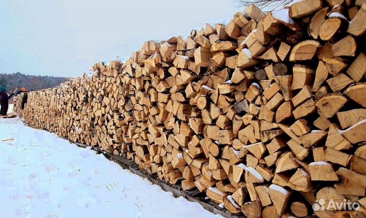 Дрова какие хотите
