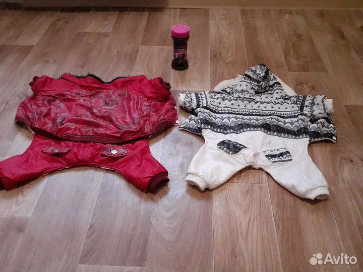 Одежда для маленьких собак