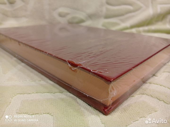 История одного города, Верже кожа