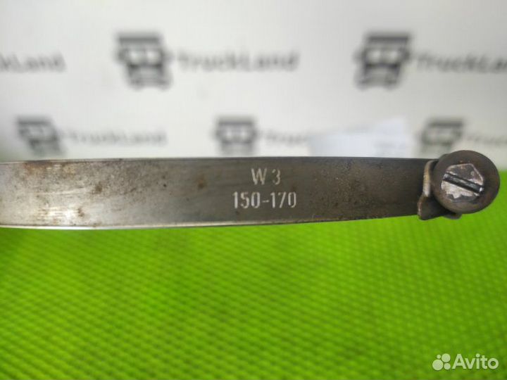 Хомут червячный Man Tgs