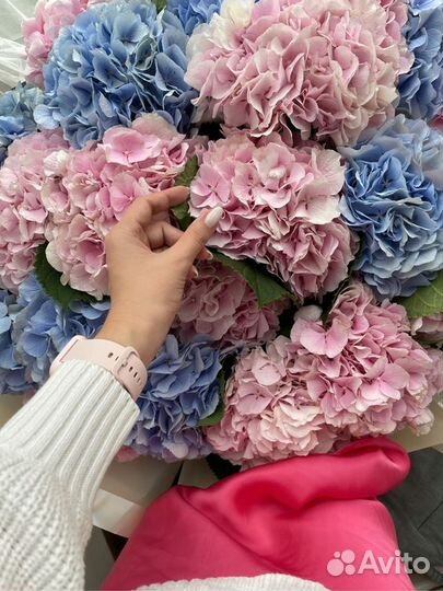 Цветы Букеты Розы доставка 11 15 25 35 Ставрополь