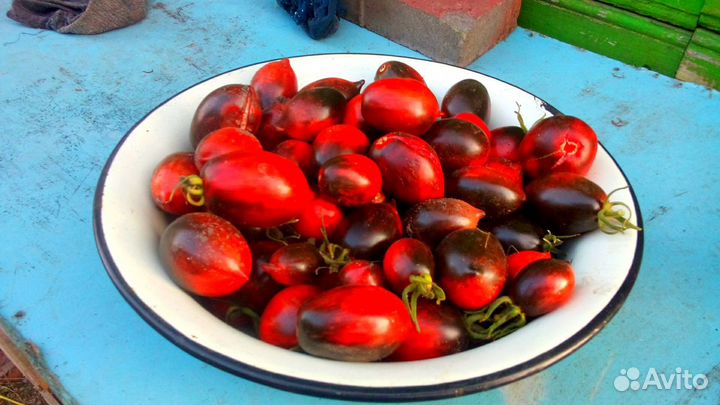 Семена Томатов и перца