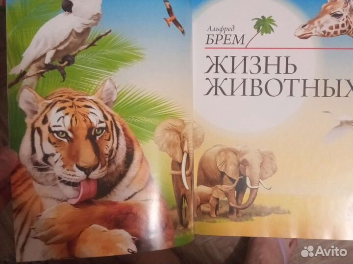 Брем Жизнь животных