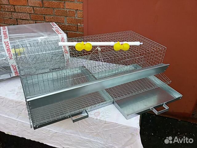 Брудер и клетки для перепелов