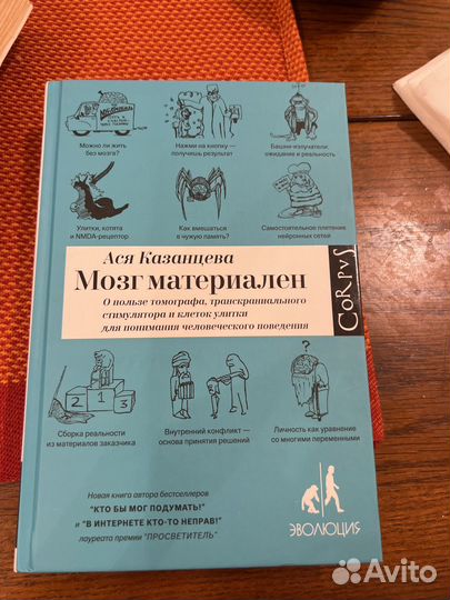 Мозг материален