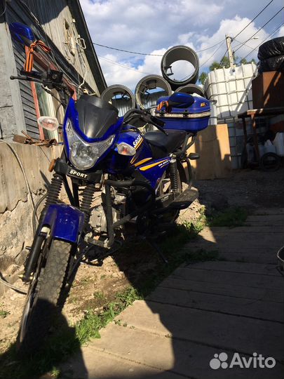Alpha sport max 125