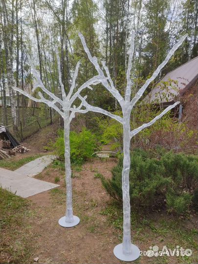 Декоративные деревья