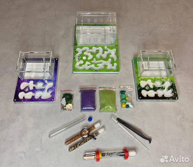 Муравьиная ферма новая с муравьями в комплекте