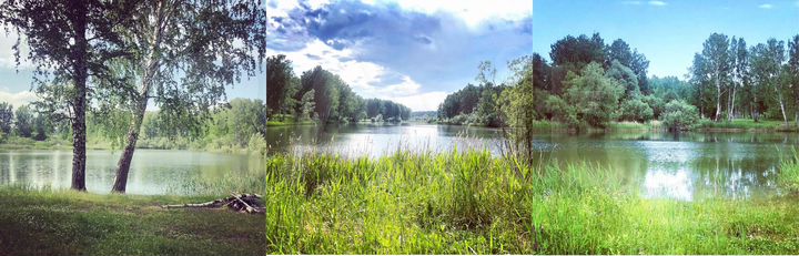 Участок 17,5 га (СНТ, ДНП)