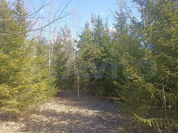 Участок 10 сот. (ИЖС)