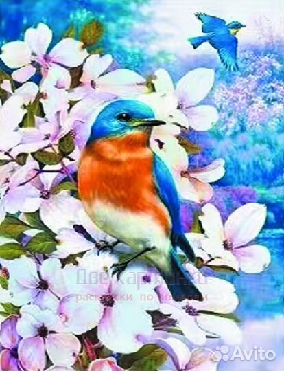 Алмазная мозаика 40x50 Голубые птицы на цветущих в