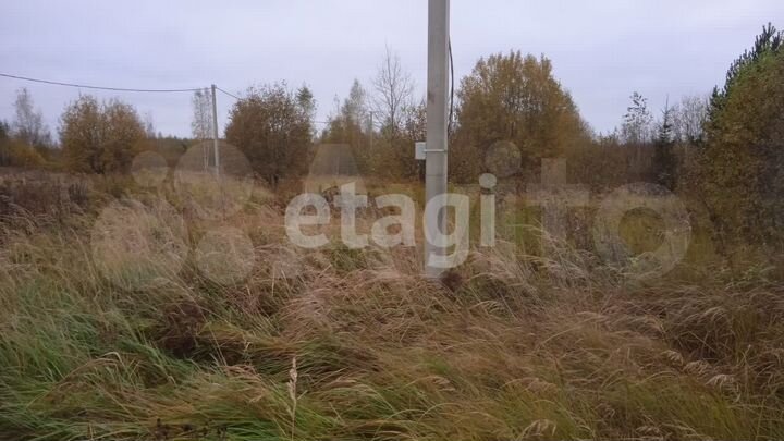 Участок 10 сот. (ИЖС)