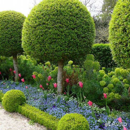 Уборка участков