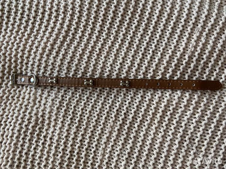 Ошейник для маленькой собаки