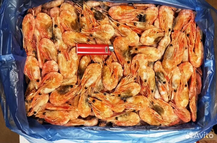 Креветка варёно-мороженная Норвегия