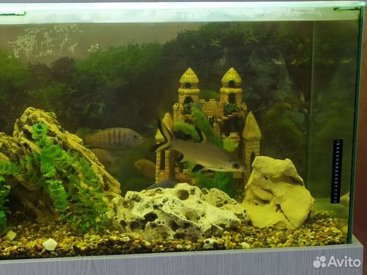 Аквариум с тумбой