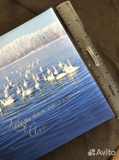 Книга алтая