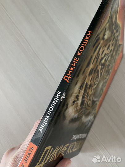 Энциклопедия дикие кошки