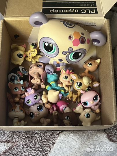 Littlest pet shop