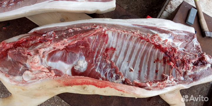 Мясо вьетнамской свиньи