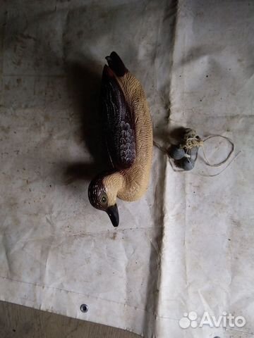 Утка подсадная(приманка)