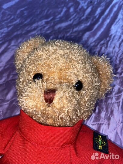 Мишка Тедди stone island