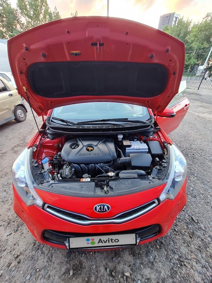 Kia Cerato: фото владельца