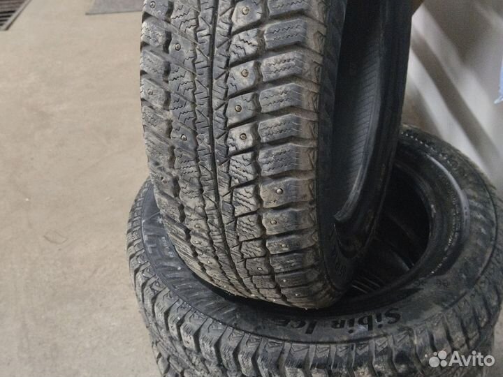 Matador MP 50 Sibir Ice 175/65 R14 82T