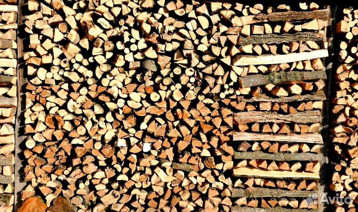Дрова осинка