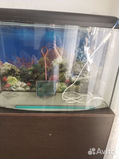Аквариум с тумбой 100л