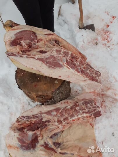 Мясо свинина домашняя