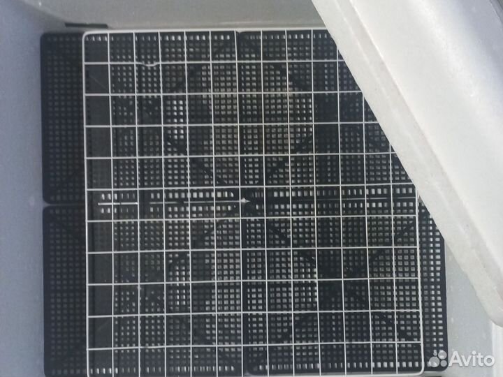 Инкубатор автоматический 