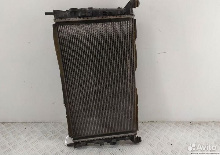 Радиатор основной Ford C-MAX