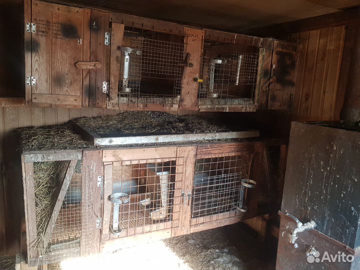 Клетка для кроликов с маточником