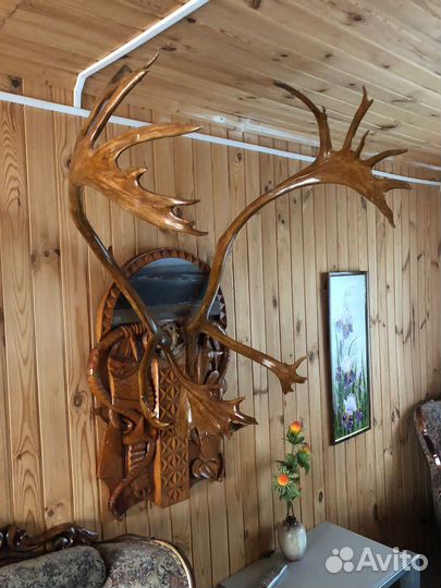 Рога оленя