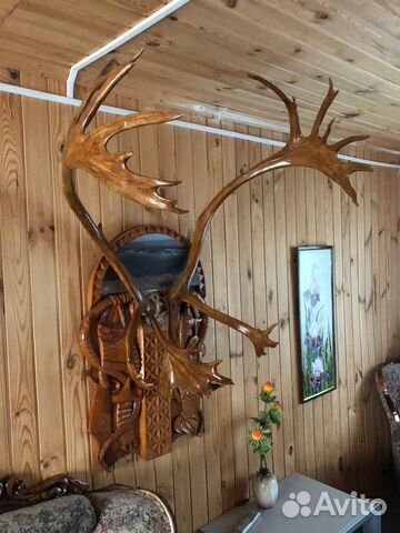 Рога оленя