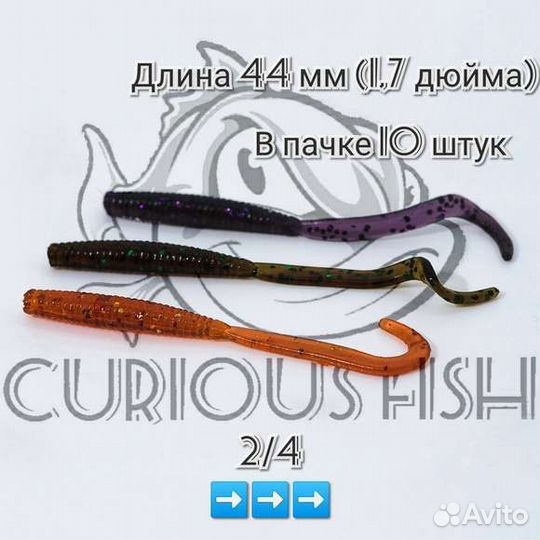 Curious Fish Мародёр 44 mm (1,7 дюйма)
